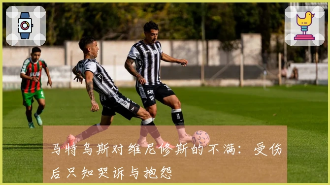 马特乌斯对维尼修斯的不满：受伤后只知哭诉与抱怨