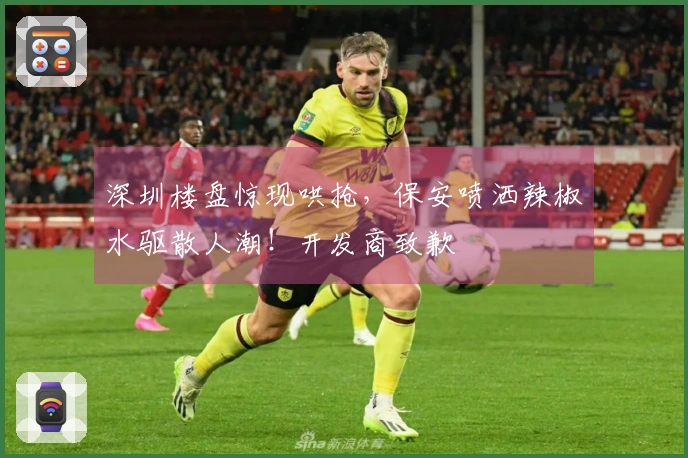 深圳楼盘惊现哄抢，保安喷洒辣椒水驱散人潮！开发商致歉